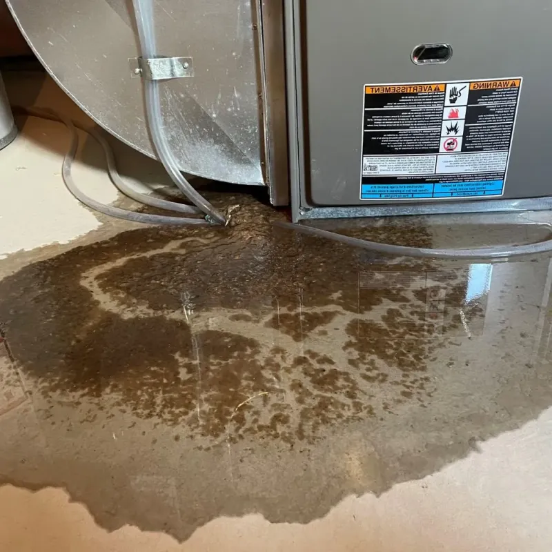 Pipe Burst and Leak Restoration in Buchanan County, IA