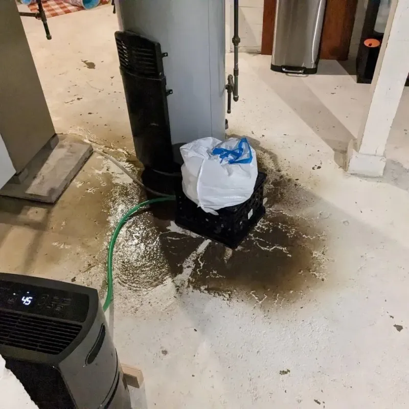 Sewage Backup Cleanup Service in Buchanan County, IA